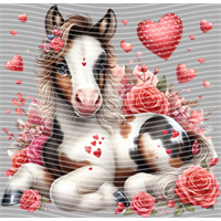 Valentine's Day-QRJ  5844